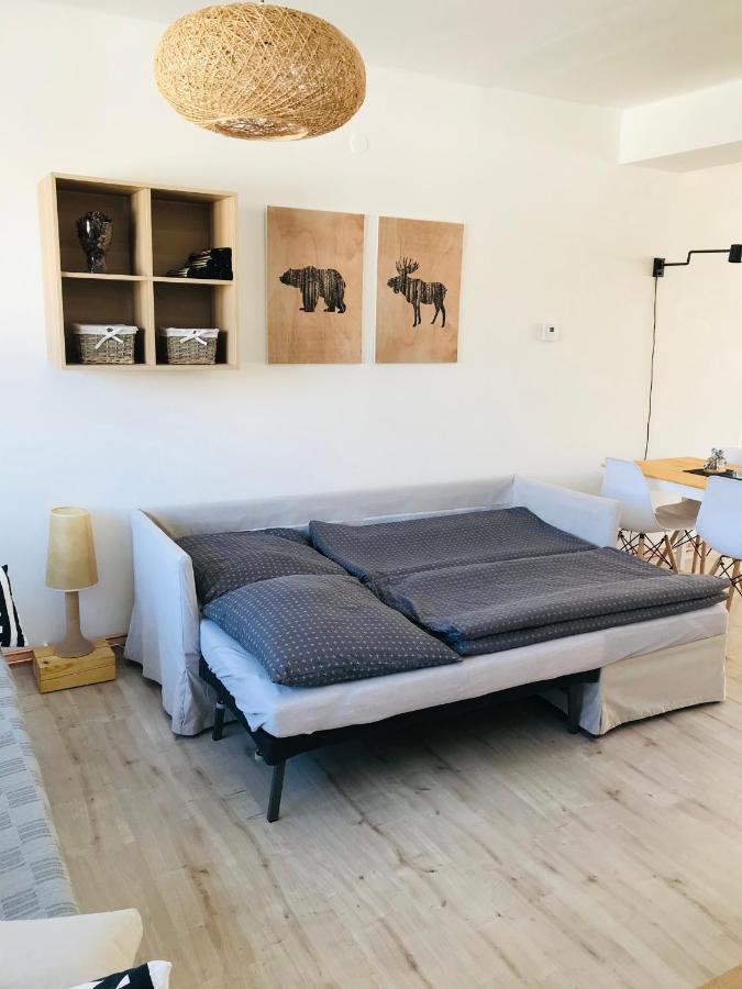 Apartman Orlicke Zahori Exterior photo